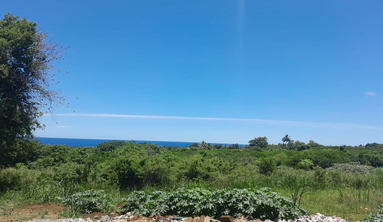 Commercial value land for sale Chemin Grenier 3