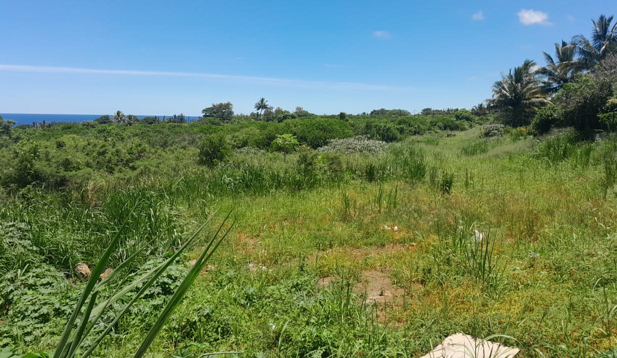Commercial value land for sale Chemin Grenier 4