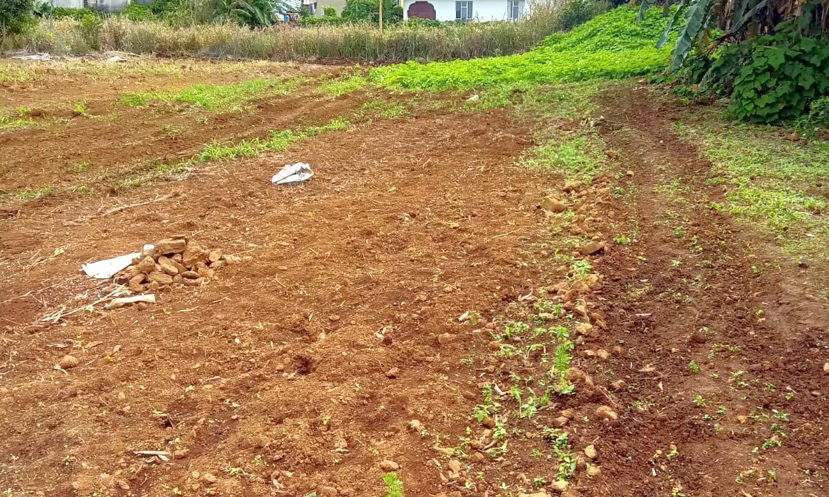 Land for sale at Quartier Militaire 3