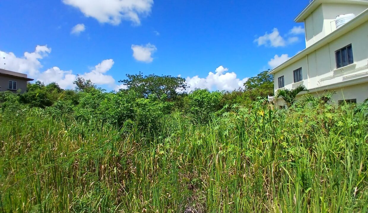 Residential Land for Sale in Grand Baie Chemin Vingt Pieds 3