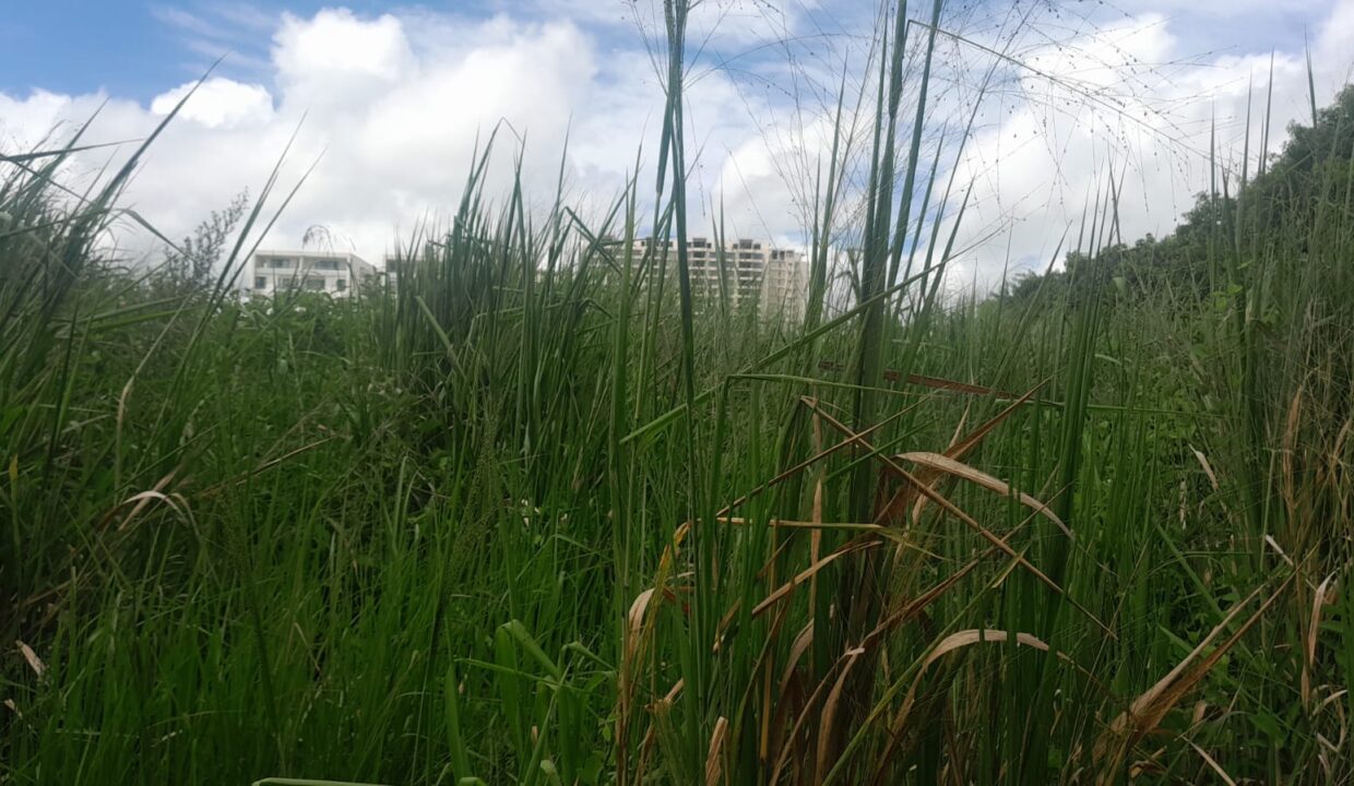 1-Arpent Land for Sale – Sodnac