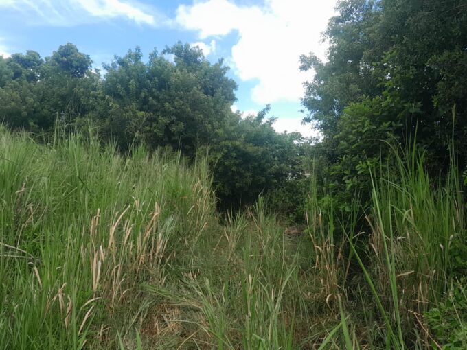 1-Arpent Land for Sale – Sodnac