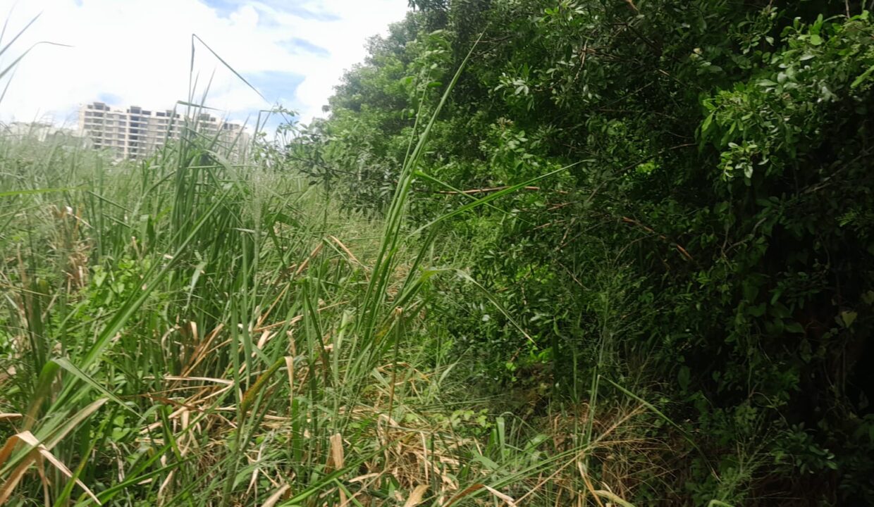 1-Arpent Land for Sale – Sodnac (4)