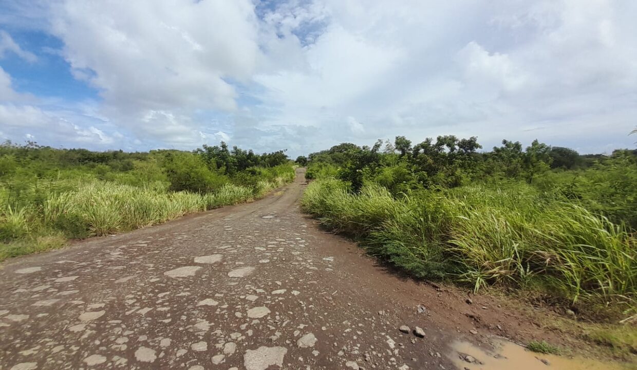 1.9 Arpents Residential Land for Sale – Calodyne (2)