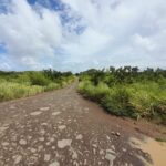 1.9 Arpents Residential Land for Sale – Calodyne