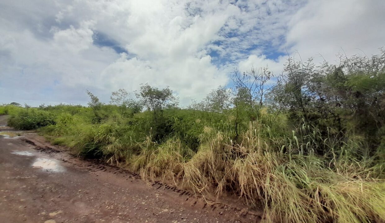 1.9 Arpents Residential Land for Sale – Calodyne (4)