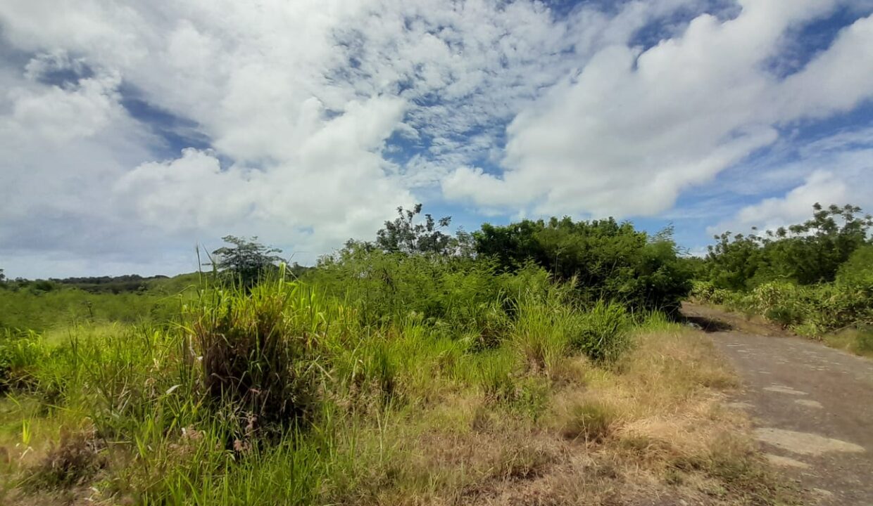 1.9 Arpents Residential Land for Sale – Calodyne (5)