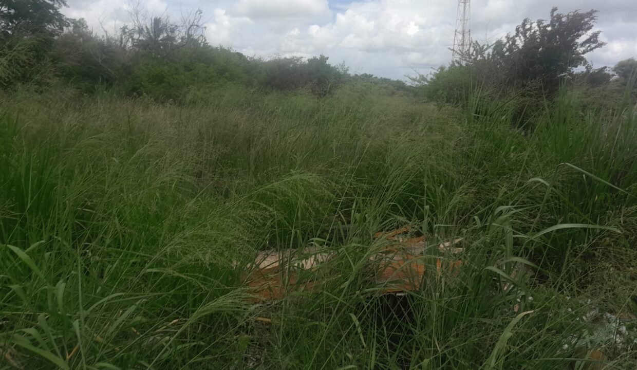 10 Arpent Industrial Land for Sale – Petite Rivière(1)