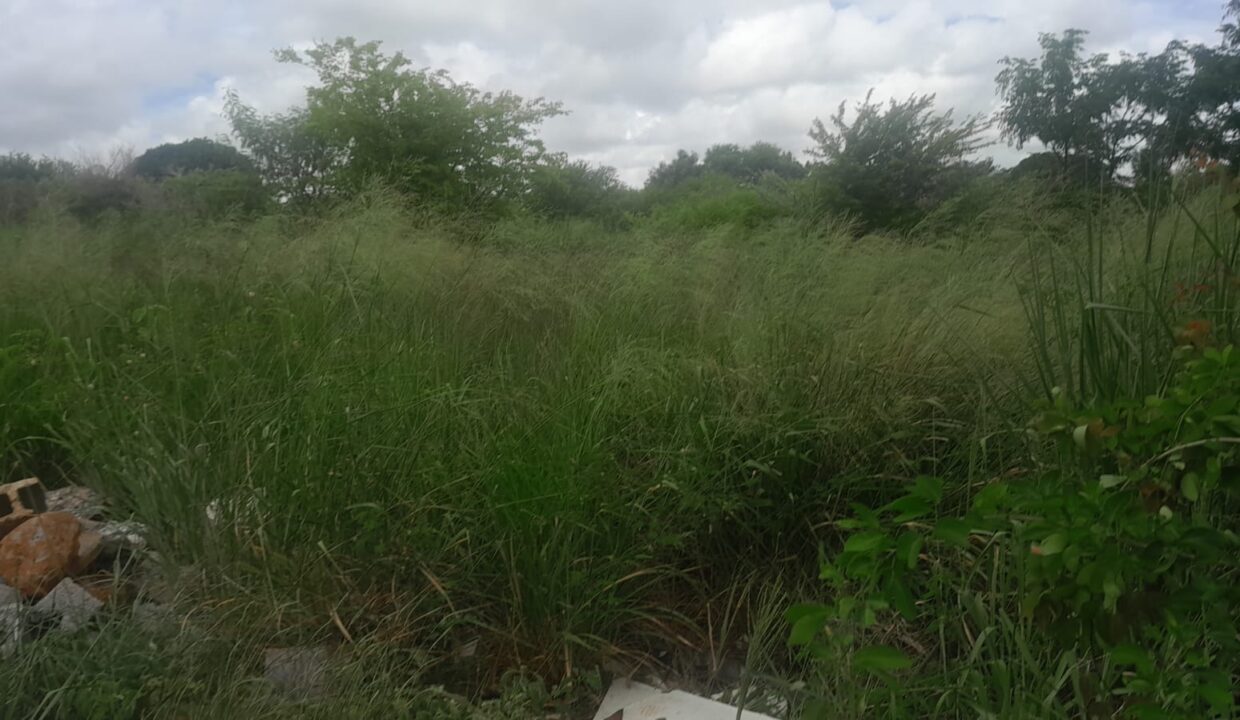 10 Arpent Industrial Land for Sale – Petite Rivière(2)