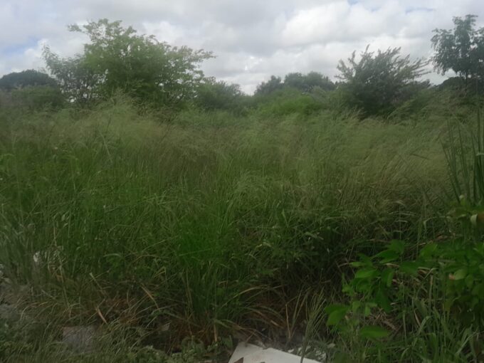 10 Arpent Industrial Land for Sale – Petite Rivière