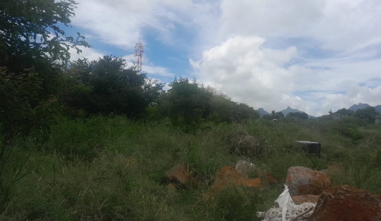 17-Arpent Agricultural Land for Sale – Petite Rivière