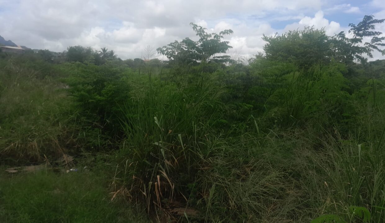 17-Arpent Agricultural Land for Sale – Petite Rivière(1)