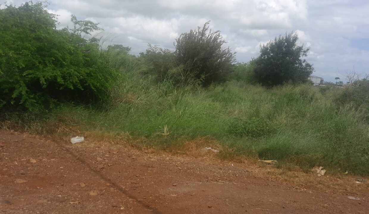 17-Arpent Agricultural Land for Sale – Petite Rivière(3)