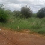 17-Arpent Agricultural Land for Sale – Petite Rivière