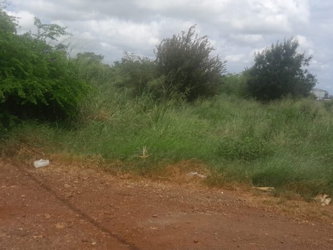 17-Arpent Agricultural Land for Sale – Petite Rivière