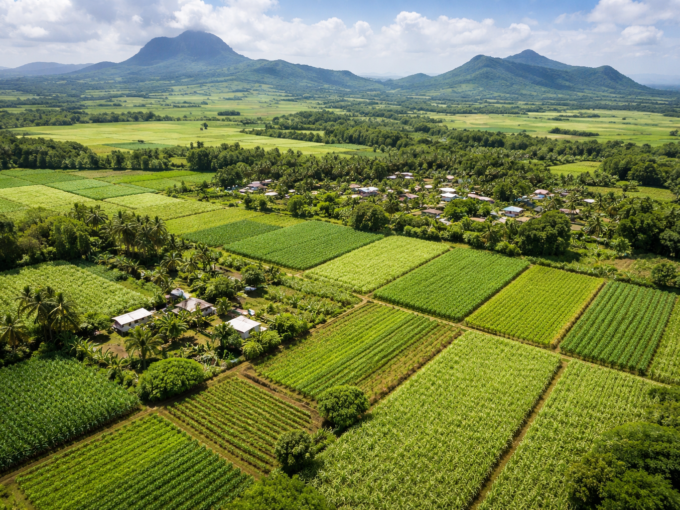 Agricultural Land for Sale – Providence 8 Arpents