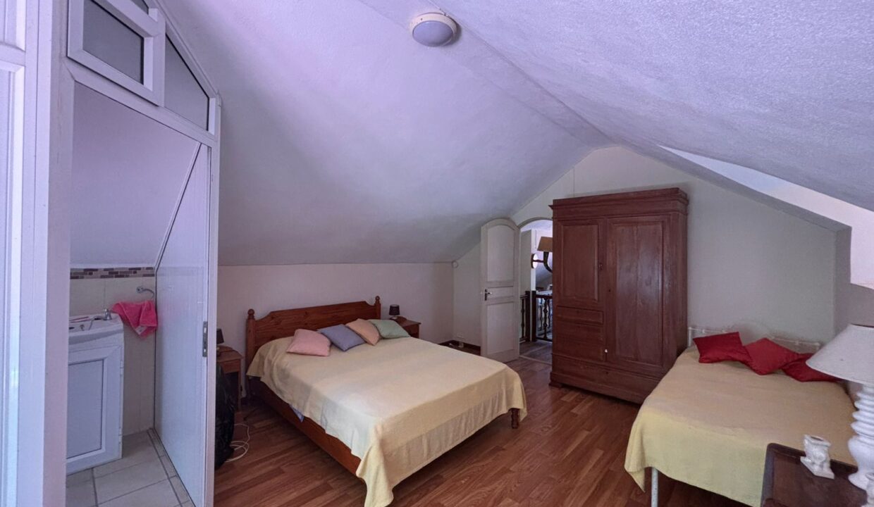 COUNTRYSIDE ESTATE WITH TOURISM POTENTIAL IN Bras d’Eaux (10)