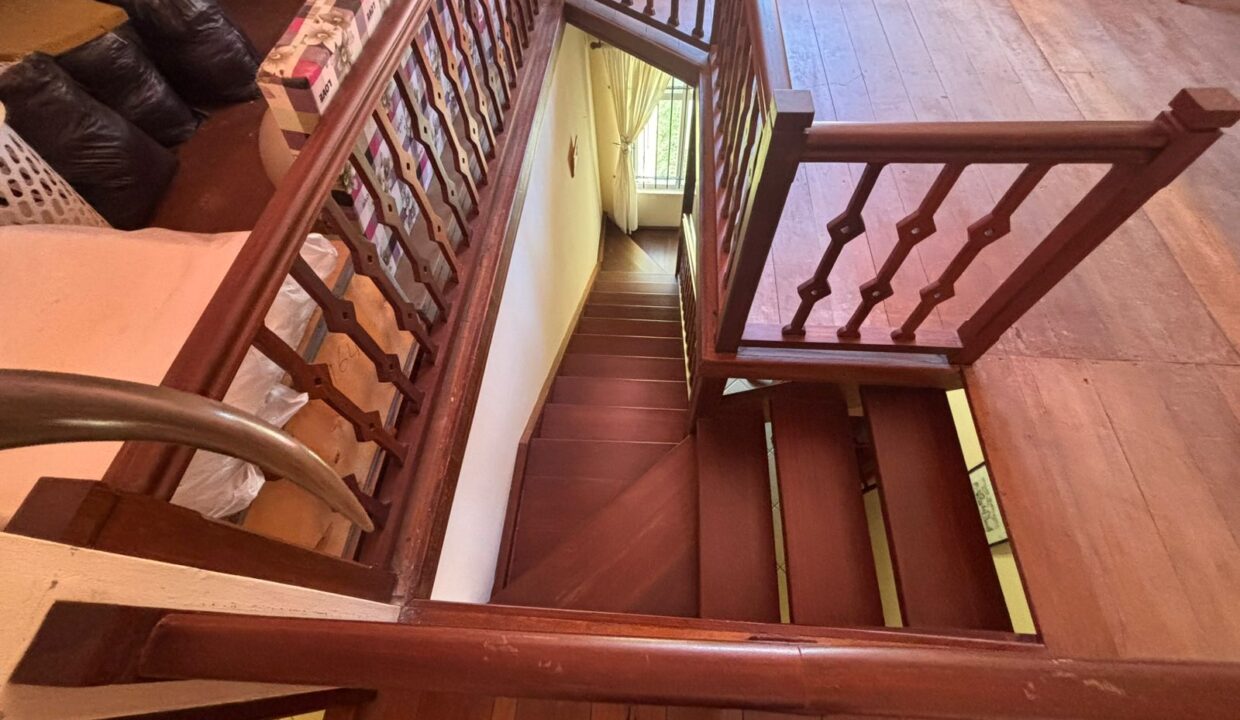 COUNTRYSIDE ESTATE WITH TOURISM POTENTIAL IN Bras d’Eaux (11)