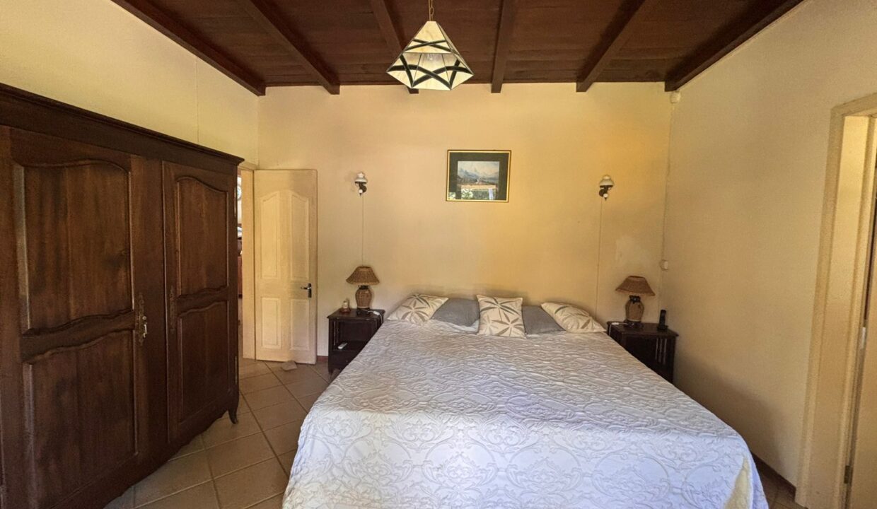 COUNTRYSIDE ESTATE WITH TOURISM POTENTIAL IN Bras d’Eaux (12)