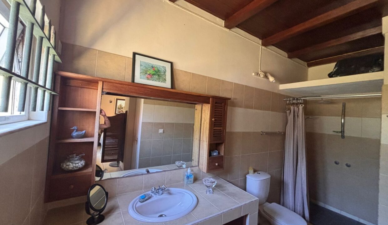 COUNTRYSIDE ESTATE WITH TOURISM POTENTIAL IN Bras d’Eaux (14)