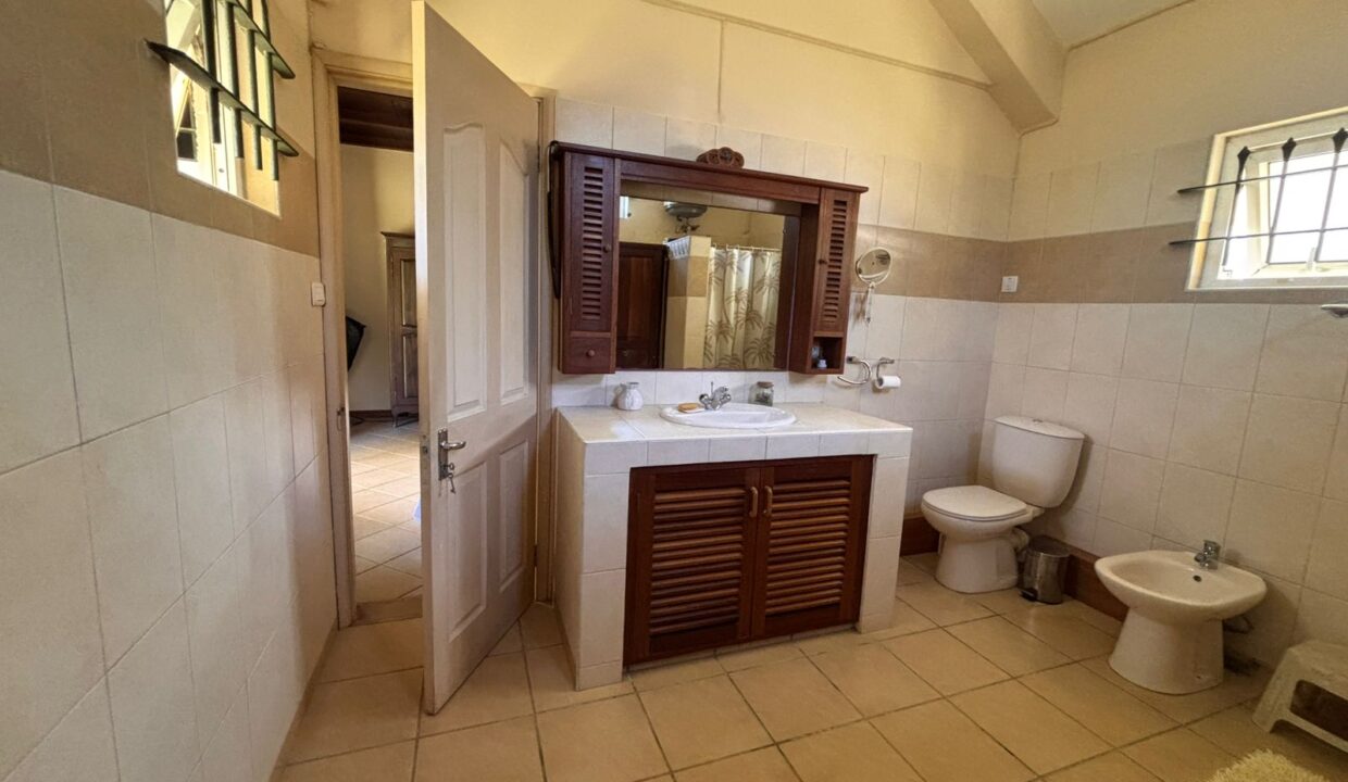 COUNTRYSIDE ESTATE WITH TOURISM POTENTIAL IN Bras d’Eaux (5)