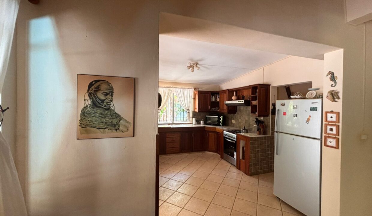 COUNTRYSIDE ESTATE WITH TOURISM POTENTIAL IN Bras d’Eaux (7)