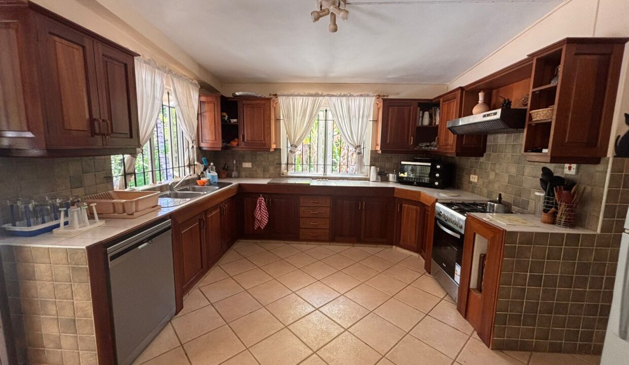 COUNTRYSIDE ESTATE WITH TOURISM POTENTIAL IN Bras d’Eaux (8)