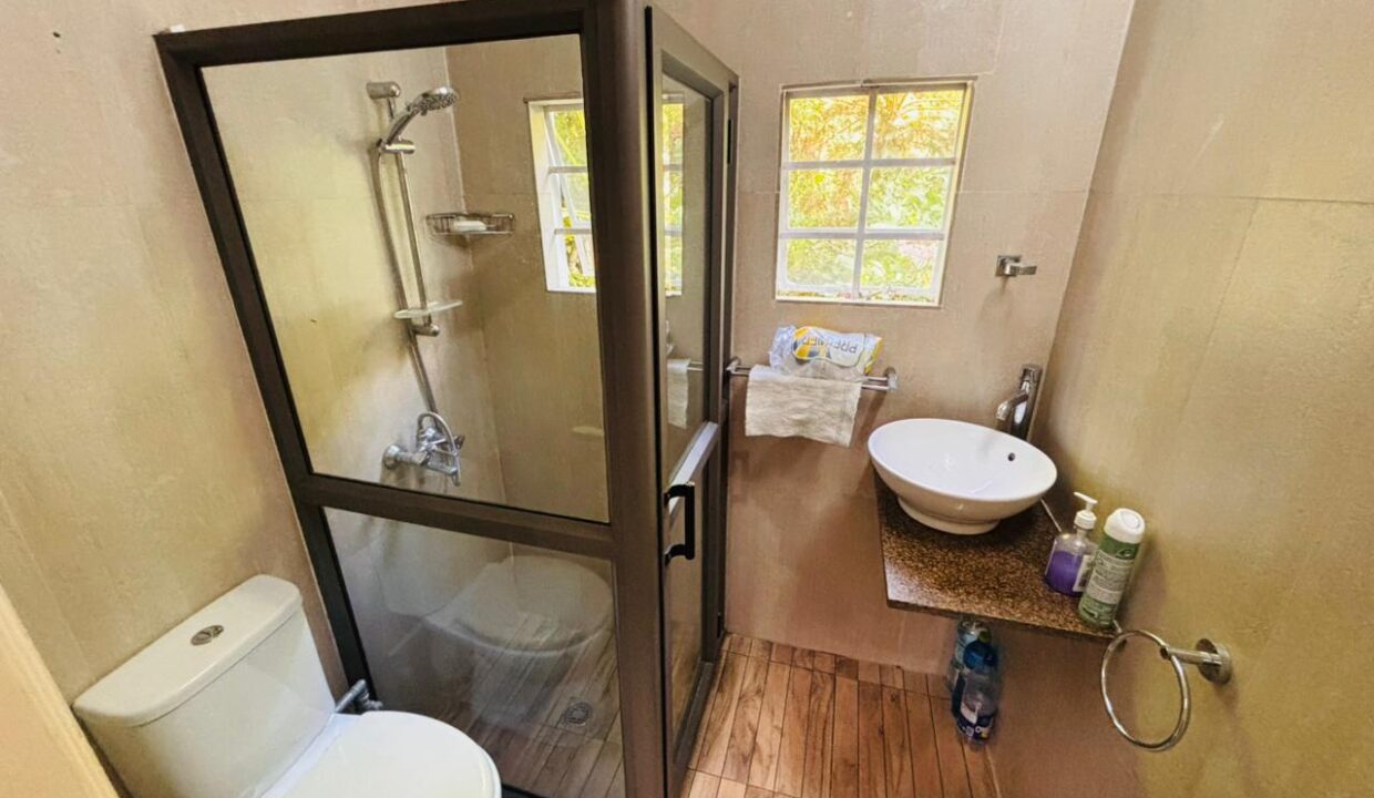 Forest Side, Curepipe — Rare Tropical Property (10)