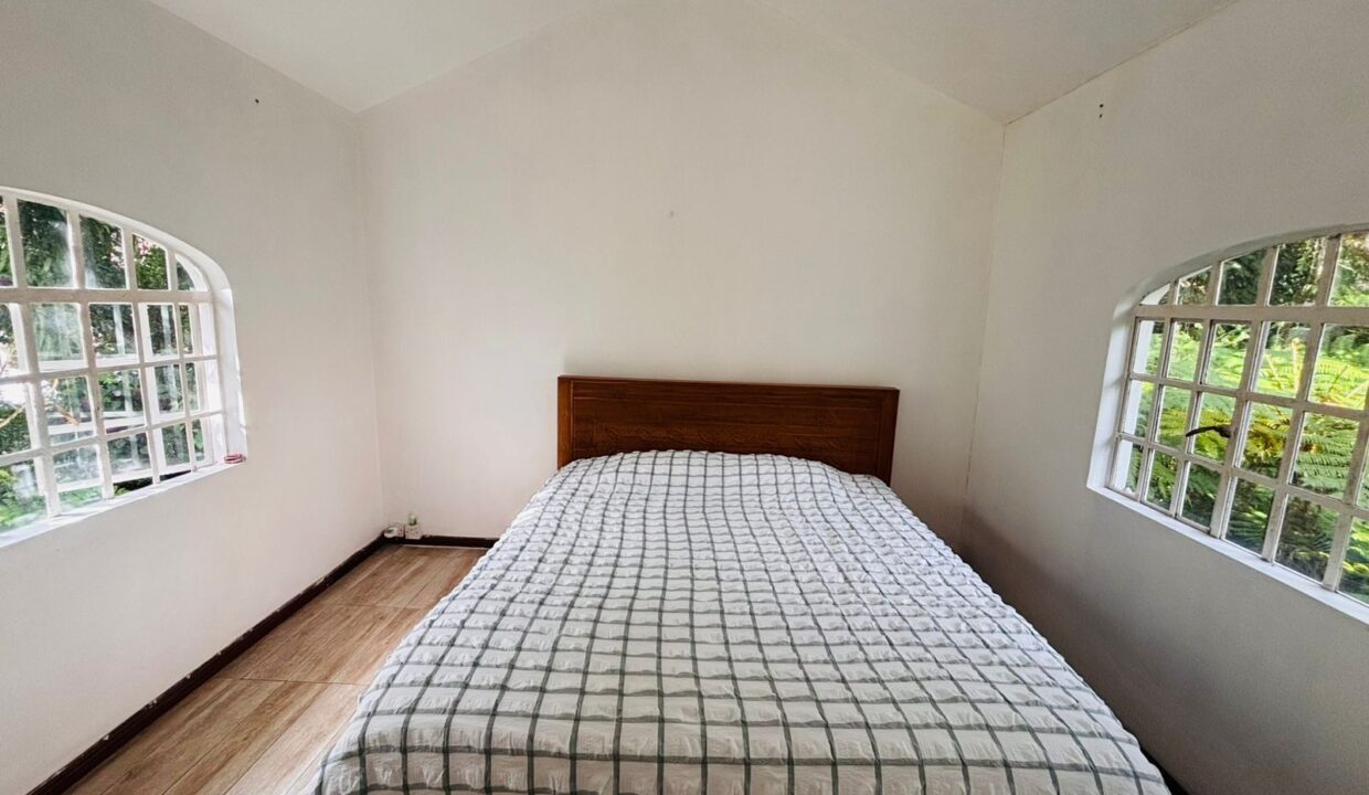 Forest Side, Curepipe — Rare Tropical Property (15)