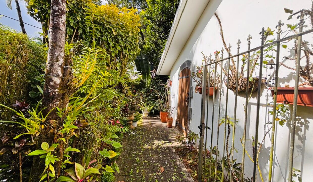 Forest Side, Curepipe — Rare Tropical Property (3)