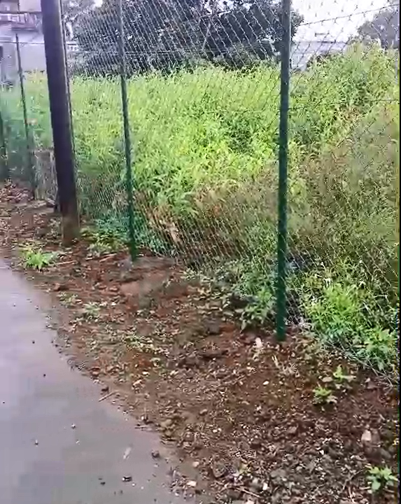 Land for Sale – Curepipe 1 Arpent