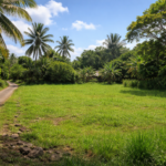 Land for Sale – Roche Terre, Grand Gaube