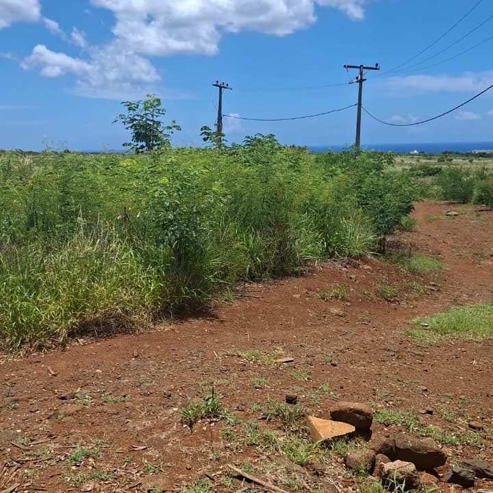 Large Residential Land for Sale – Albion 50 Arpents (2)