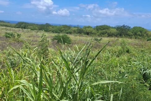 Large Residential Land for Sale – Albion 50 Arpents