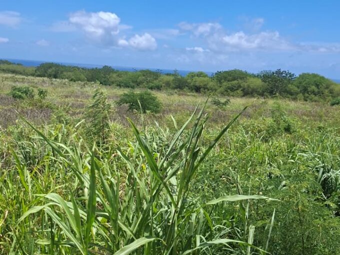 Large Residential Land for Sale – Albion 50 Arpents