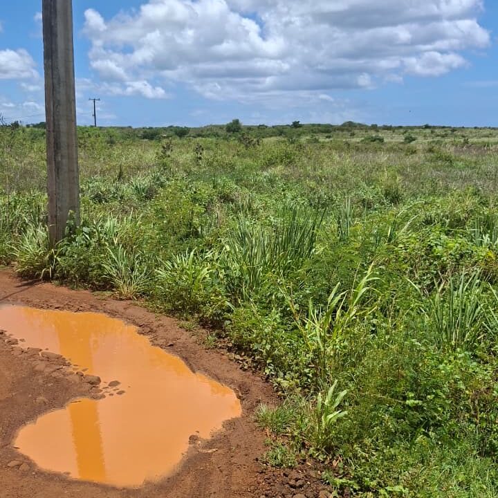 Large Residential Land for Sale – Albion 50 Arpents (5)