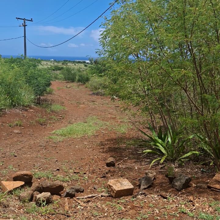 Large Residential Land for Sale – Albion 50 Arpents (6)