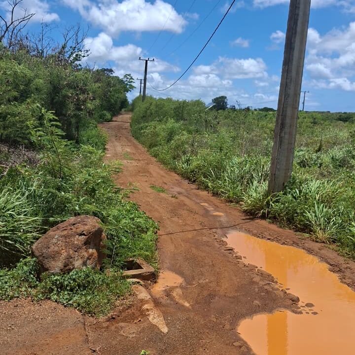 Large Residential Land for Sale – Albion 50 Arpents (7)