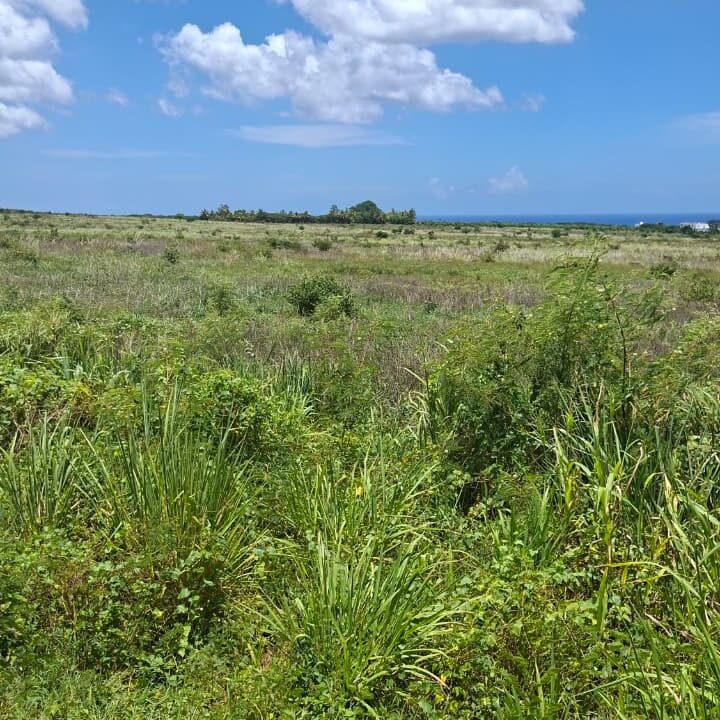 Large Residential Land for Sale – Albion 50 Arpents (8)