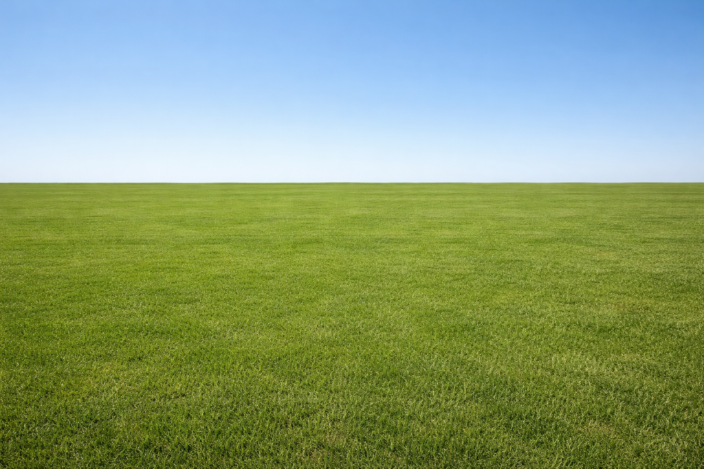 Residential Land for Sale – Avenue Cossigny, Quatre-Bornes