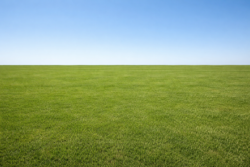 Residential Land for Sale – Avenue Cossigny, Quatre-Bornes