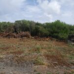Residential Land for Sale – Grand Baie 11 Perches