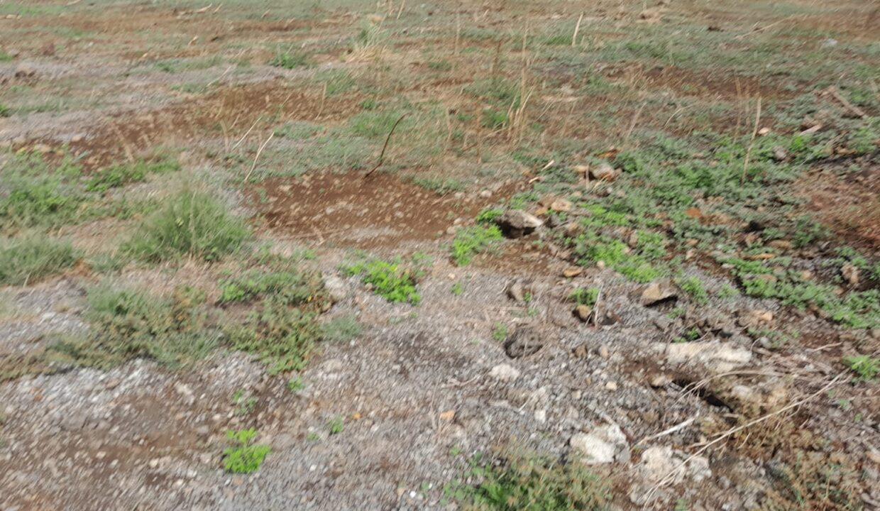 Residential Land for Sale – Grand Baie 11 Perches (3)