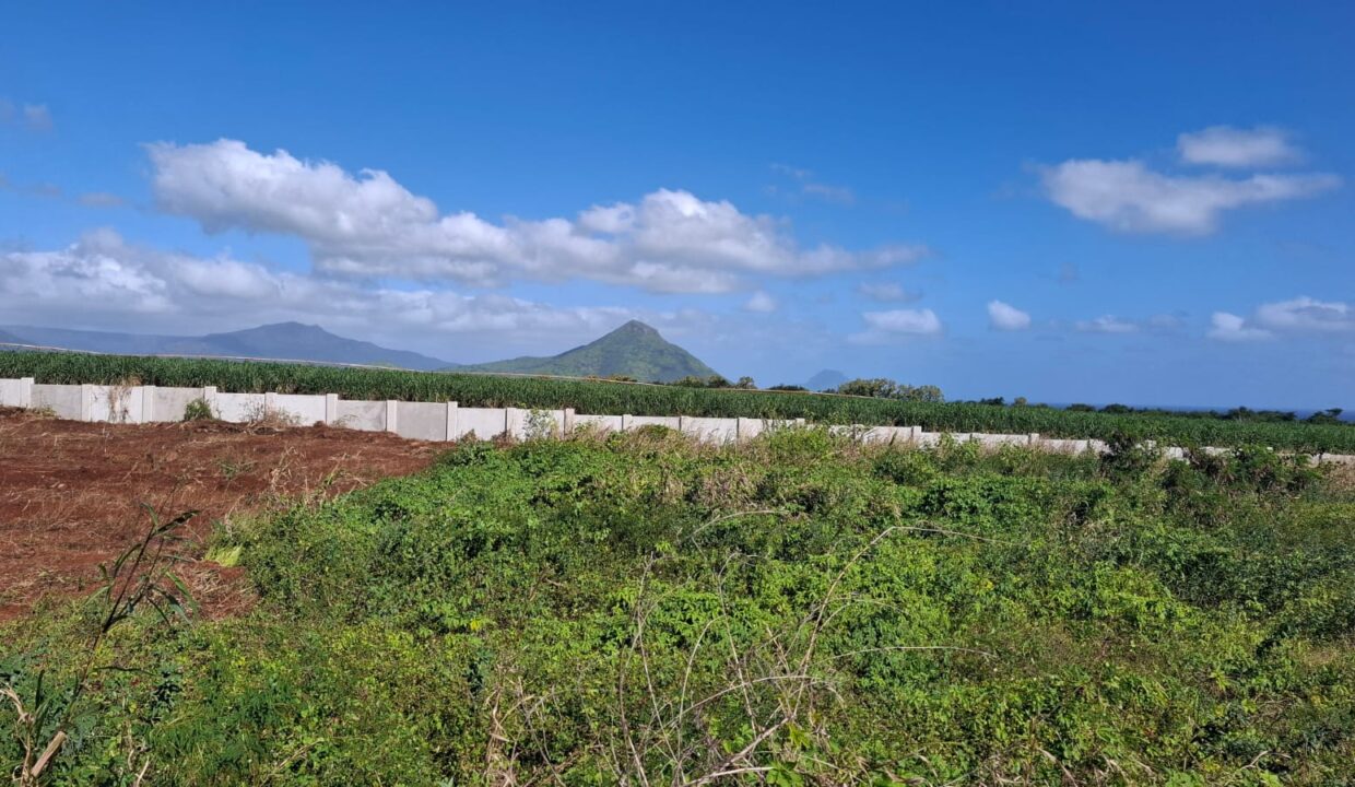 Residential Land for Sale – Magenta Parkside, Quartier A 17 Perches (4)