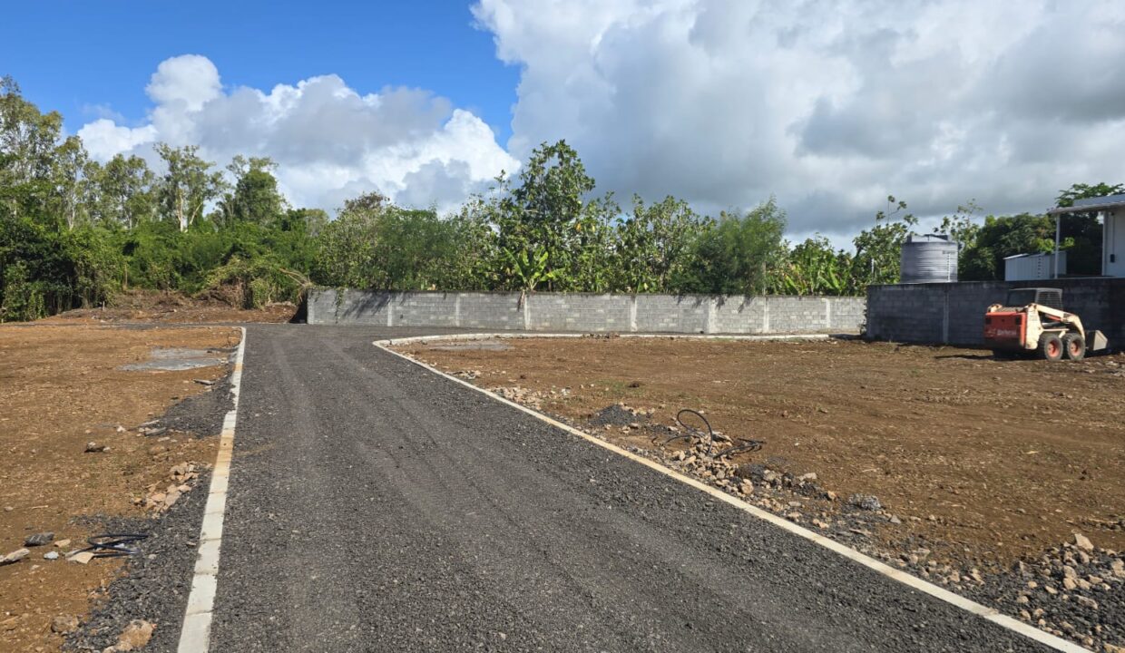 Residential Land for Sale – Rue Pépinière, Beau Plateau Road, Goodlands