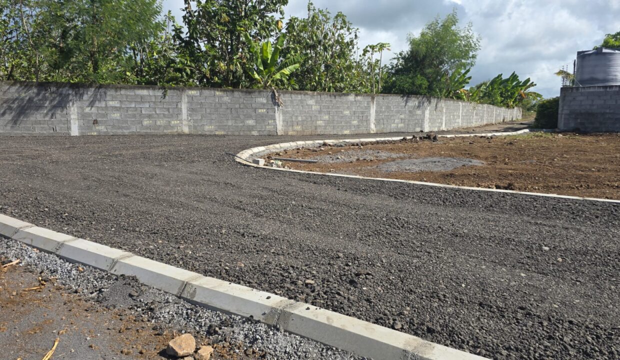 Residential Land for Sale – Rue Pépinière, Beau Plateau Road, Goodlands (2)