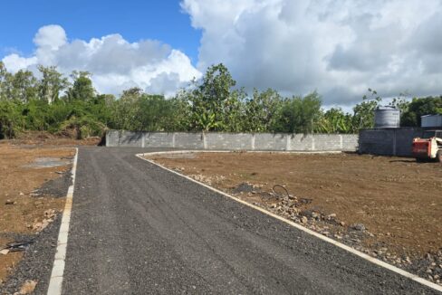 Residential Land for Sale – Rue Pépinière, Beau Plateau Road, Goodlands