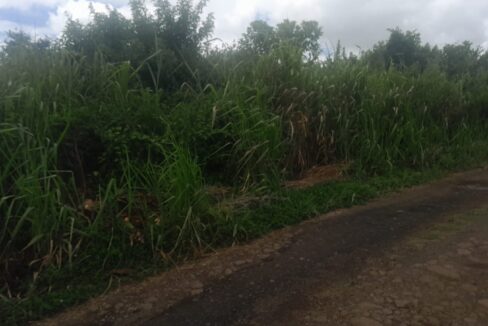 terrain Agricole a vendre a l'arriere de Tribecca mall