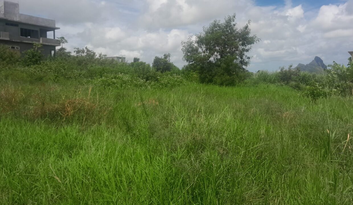 terrain a vendre a Solferino, vacoas, Mauritius (2)