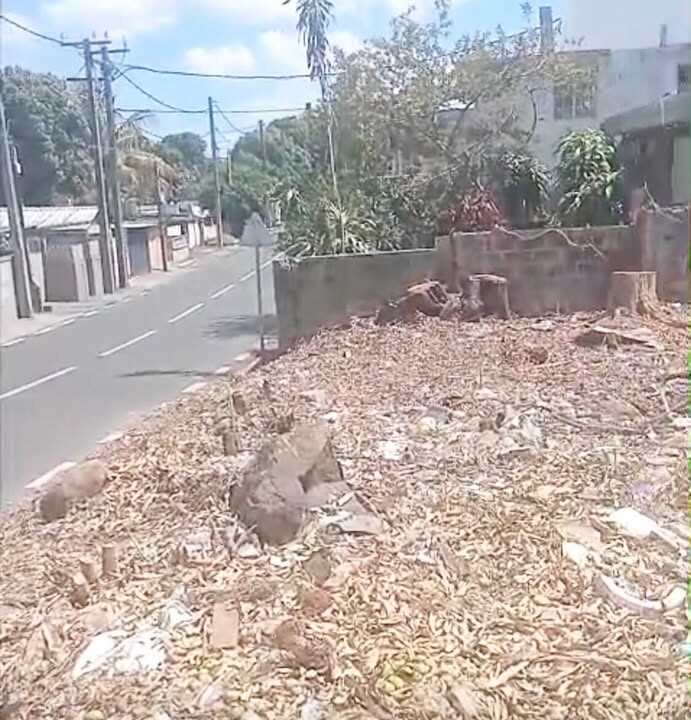 12.75 Perches Residential Land for Sale – Beau-Bassin (4)